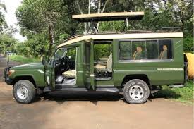 safari gallery image